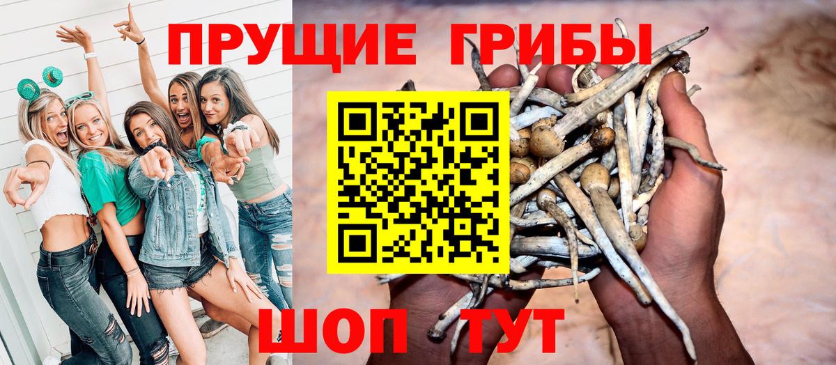 Галлюциногенные грибы ЛСД Мценск