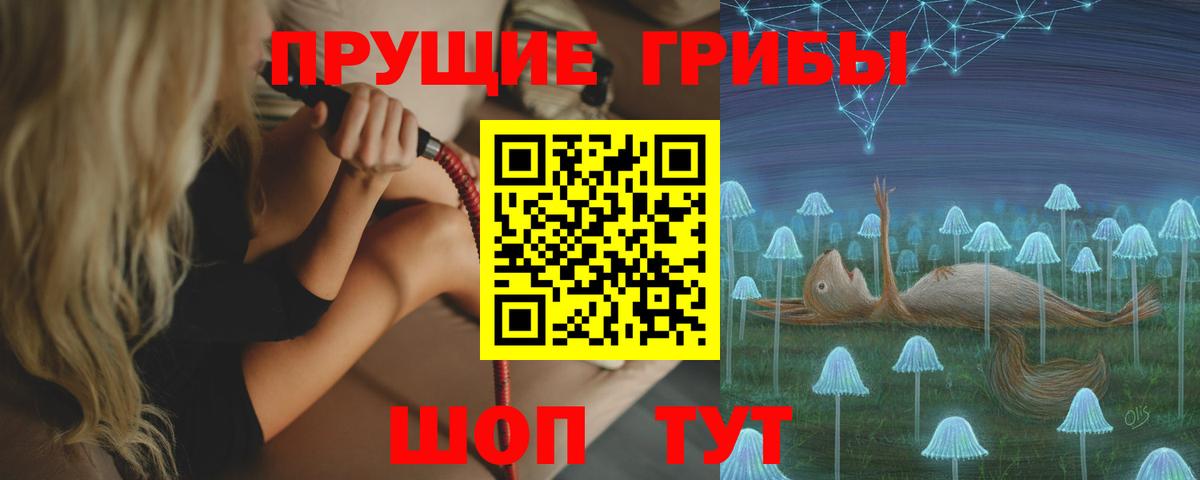 Псилоцибиновые грибы GOLDEN TEACHER  Вход с VPN  Мценск 